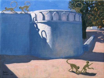 Monkey Temple, India by Andrew Macara